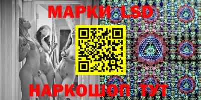 шишки Донской