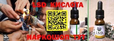 шишки Донской