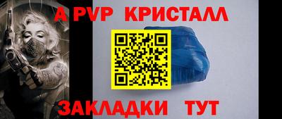 шишки Донской