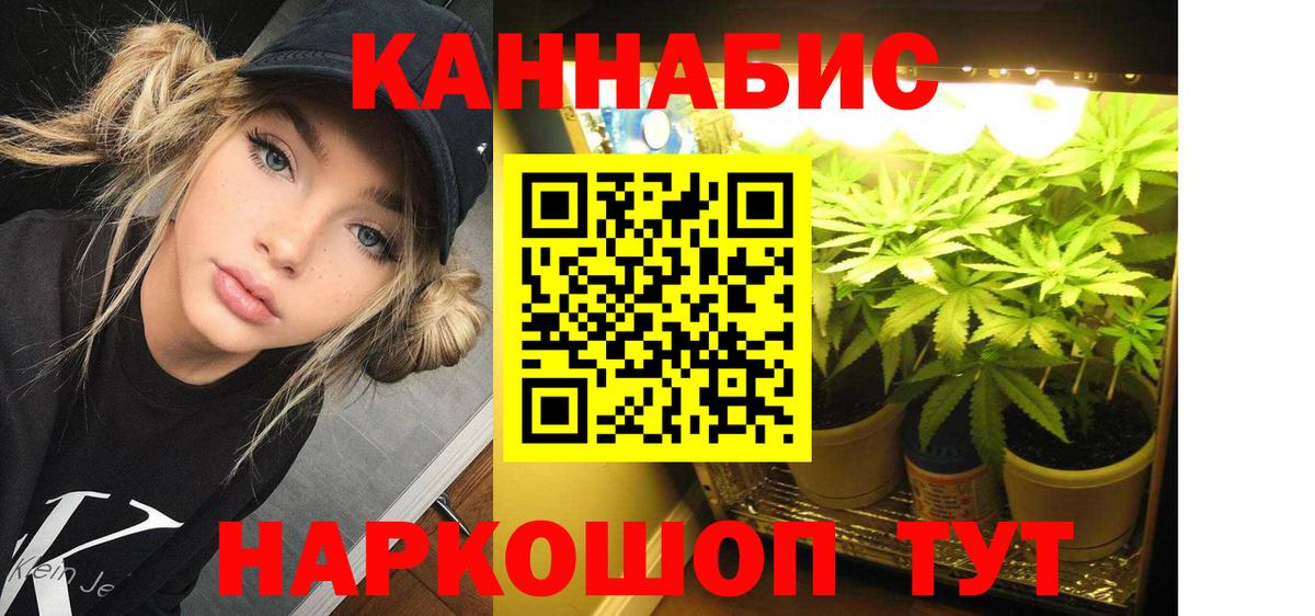 Канабис сатива Красногорск